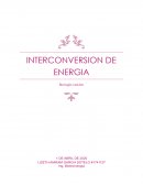 INTERCONVERSION DE ENERGIA