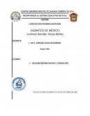 EL PAPEL DEL MERCODÓGOLO