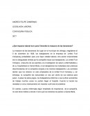 ¿Qué impacto laboral tuvo para Colombia la masacre de las bananeras?