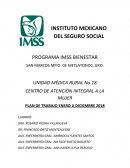 Plan de trabajo san marcos