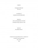 Actividad Segmentacion de mercados