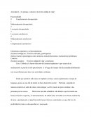 Actividad 2 de la unidad 4 ciencias de la salud ll