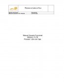 Manual Libro de Caja SAP