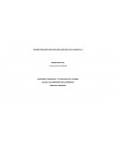 INFORME FINANCIERO INDUSTRIA METALMECÁNICA DE OCCIDENTE S.A