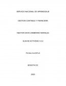 GESTION CONTABLE Y FINANCIERA ECOPETROL