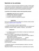 Nutrición en los animales