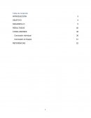 Caso practico Administración de operaciones