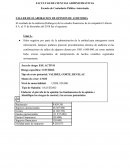 TALLER DE ELABORACION DE OPINION DE AUDITORIA