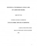 Ensayo tipos de patrimonio
