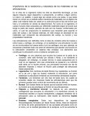 Importancia de la resistencia y naturaleza de los materiales en las articulaciones