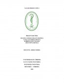 DIRECCIÓN DE LA PRODUCCIÓN Y DE OPERACIONES