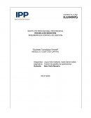 Sociedad tecnológica Flexisoft