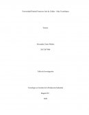 Taller de Investigación Tecnología en Gestión de la Producción Industrial