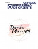 EL Comerciante - Apuntes comercio, derecho mercantil
