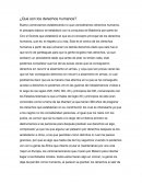 ¿Que son los derechos humanos?