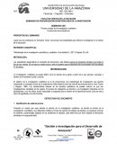 Proceso y fases de la investigación cualitativa