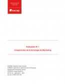 Evaluación N° 1 Componentes de la Estrategia de Marketing