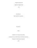 Diagnostico Empresarial. Diagnostico Organizacional