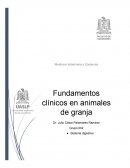 Medicina Veterinaria y Zootecnia . Fundamentos clínicos en animales de granja