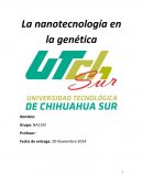 Tratamiento para el cáncer al pulmón basado en nano transportadores inhalables