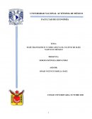 LITIO COMO MATERIA PRIMA PARA LA FABRICACION DE PILAS