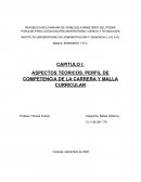 ASPECTOS TEORICOS. PERFIL DE COMPETENCIA DE LA CARRERA Y MALLA CURRICULAR