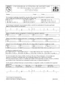 Tarea 1 Segmentos Dirigidos
