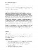 Ensayo “Análisis de mi Empresa”