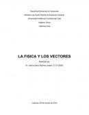 LA FISICA Y LOS VECTORES