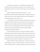 Constructivismo y Construccionismo Social