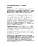 Adaptación cardiovascular en el ejercicio