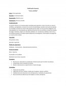 Planificación Secuencia “Luces y sombras”