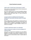 Como funciona la escuela
