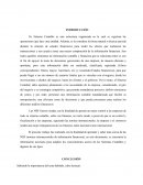 Introducción y conclusión de Sistemas contables