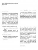 Informe N°5 “Test de Fatiga Erectores Espinales de Biering-Sorensen
