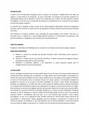 ENtrega 1 Formulaicon y evaluaicon de proyectos