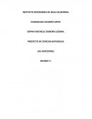 PROYECTO DE CIENCIAS NATURALES. LAS ADICCIONES