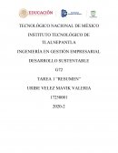 DESARROLLO DE UNA CONCIENCIA SUSTENTABLE