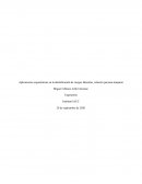 Aplicaciones ergonómicas en la identificación de riesgos laborales, relación persona-maquina