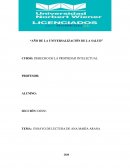 CRITERIO PARA OBTENER LA CONCECIÓN DE UNA PATENTE.