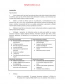 Caso RENZO COSTA S.A.C