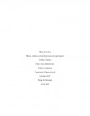 Desarrollo Empresa RR.HH S.A