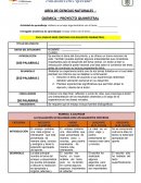 QUÍMICA – PROYECTO QUIMESTRAL s/r