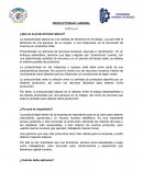 PRODUCTIVIDAD LABORAL 5 W´s y H