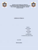 Contabilidad publica. Gerencia pública