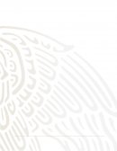 Certificaciones y tipos de consultores