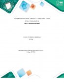 Reflexión individual - probabilidad