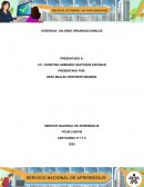 Valores organizacionales