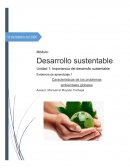 Cuadro sinóptico problemas ambientales