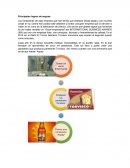 Trabajo sobre Anypsa